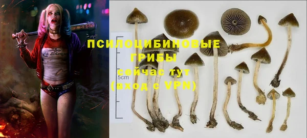 бошки Белокуриха