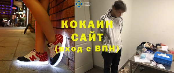 бошки Белокуриха
