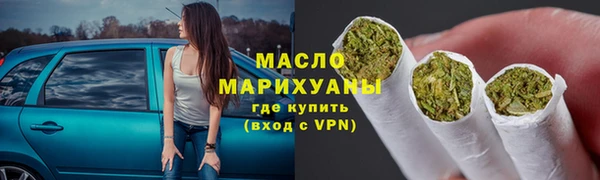 крисы Ельня