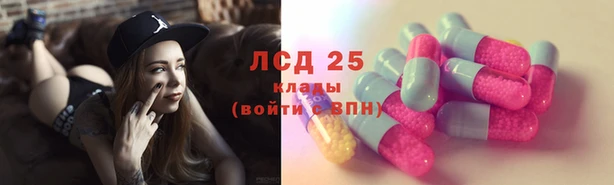 ПСИЛОЦИБИНОВЫЕ ГРИБЫ Беломорск