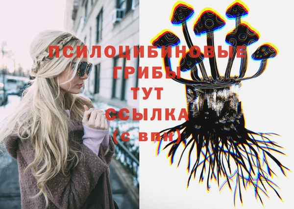 ПСИЛОЦИБИНОВЫЕ ГРИБЫ Беломорск