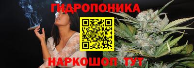 СК Волгодонск