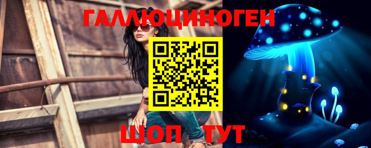 Псилоцибиновые грибы прущие грибы  Городец  закладка  Псилоцибиновые грибы ЛСД 