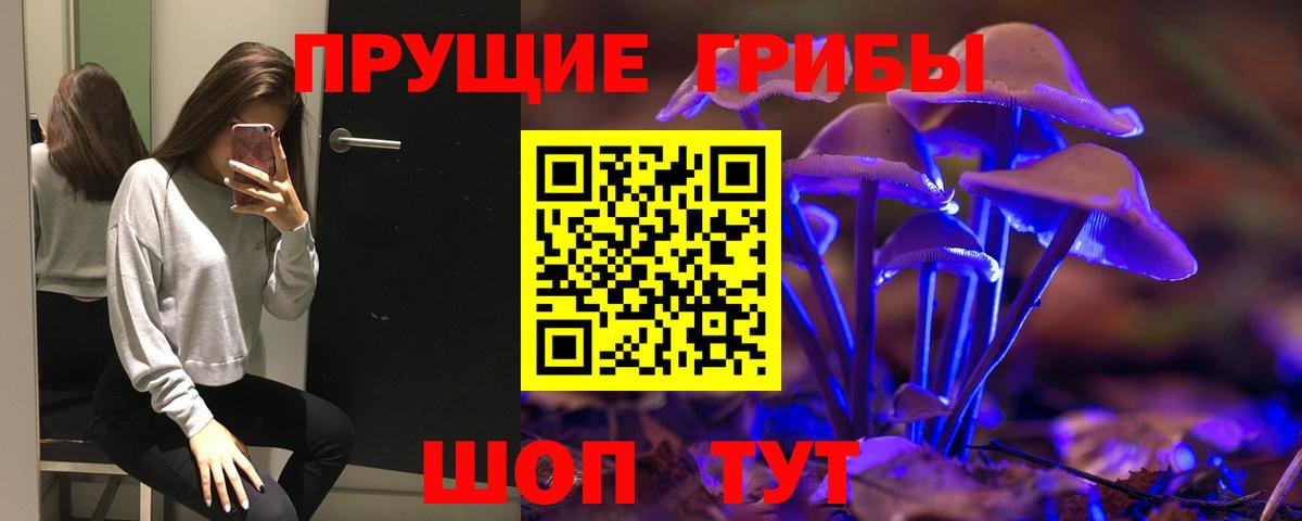 Галлюциногенные грибы прущие грибы  Вход с VPN  Городец  Галлюциногенные грибы мухоморы 